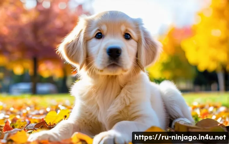 닌자고 시즌별 주요 대사 - **A playful puppy wearing a diaper, sitting in a sunlit park filled with colorful autumn leaves. The...